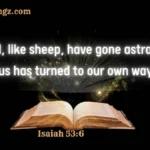 Dreaming About Sheep Walking in Circles