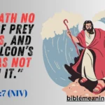 The Symbolism and Significance of Vultures in the Bible and Beyond