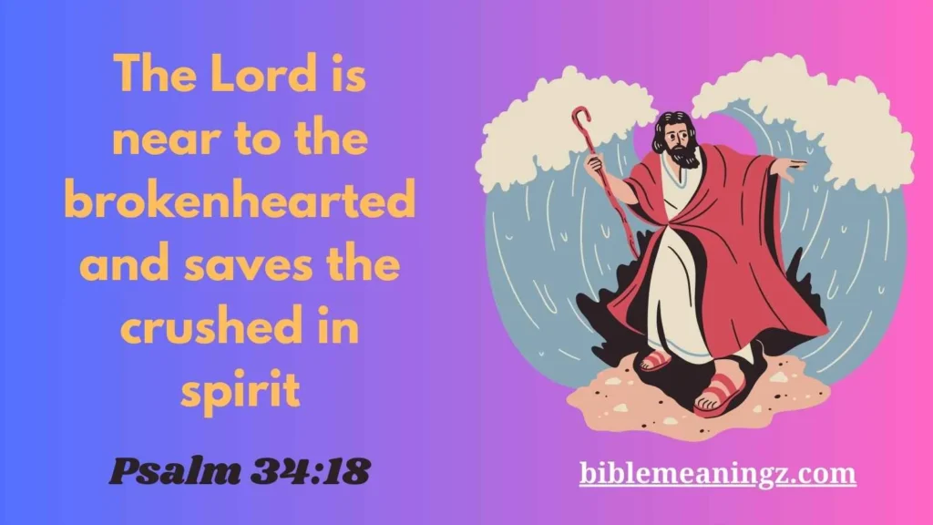 Loneliness and Solitude