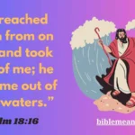 Dream of Saving Someone Drowning